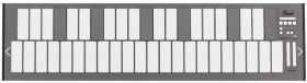 Pearl Mallet Station EM1