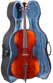 Eastman VC300 in Pod Case